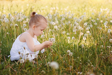 Little beautiful girl in white dress playing outdoors in park. Lovely little girl blowing a dandelion