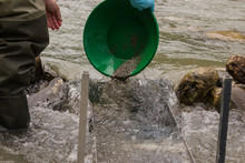 To Feed A Sluice Box With Material