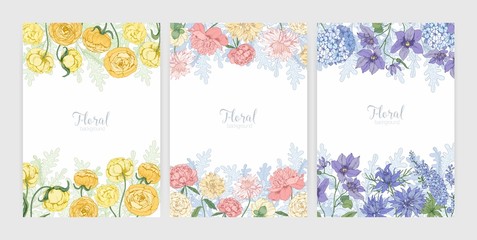 Poster - Collection of floral backgrounds or card templates with frames made of beautiful blooming wild flowers and flowering herbs and place for text. Elegant realistic botanical vector illustration.