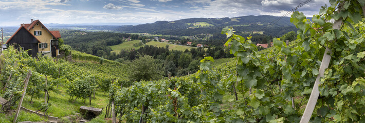 Wall Mural - panorama old wine growing area named Schilcherstrasse near Stainz in Styria, Austria