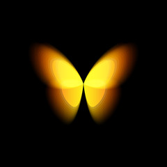 Poster - Butterfly isolated logo. Bright colorfull butterflies wings, dynamic movement, blurred effect. Abstract vector logotype on black background.