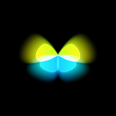 Poster - Butterfly isolated logo. Bright colorfull butterflies wings, dynamic movement, blurred effect. Abstract vector logotype on black background.