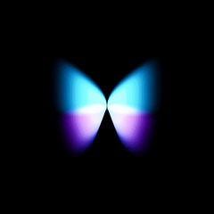 Poster - Butterfly isolated logo. Bright colorfull butterflies wings, dynamic movement, blurred effect. Abstract vector logotype on black background.