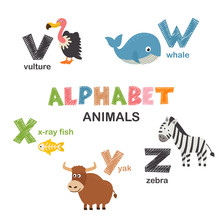 Alphabet With Animals V To Z  - Vector Illustration, Eps