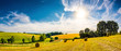 canvas print picture - Landscape in summer with bright sun, meadows and golden cornfield in the background