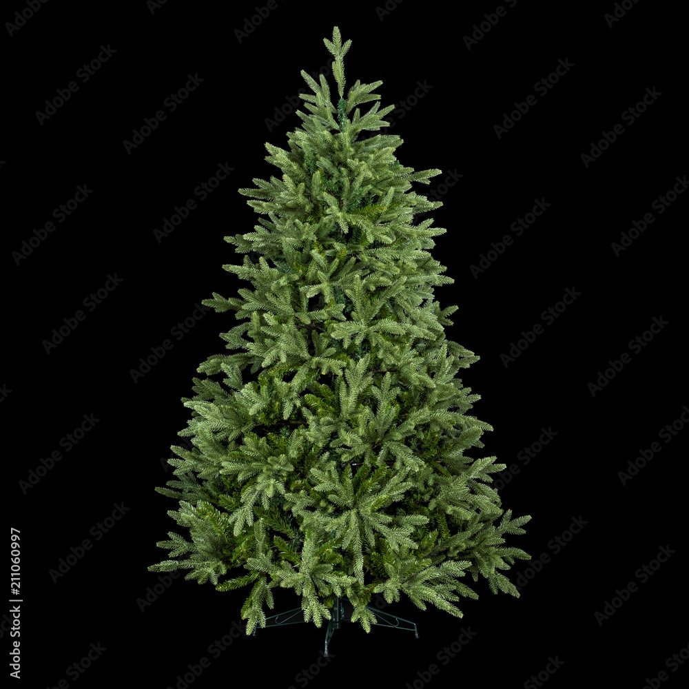 Christmas tree isolated black background Stock Photo | Adobe Stock
