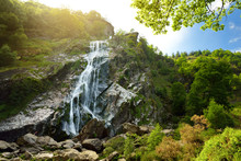 Majestic Water Cascade Of Powerscourt Waterfall, The Highest Waterfall In Ireland.