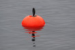 Floating orange buoy closeup, Norway sea
