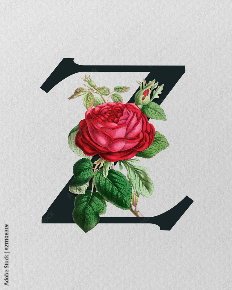 Vintage Floral Monogram Letter Z, Initials, Botanical Art Print