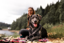 Young Woman And Beautiful German Shepherd Mix Dog Puppy Sitting Together Outdoor Making A Pause During A Hike