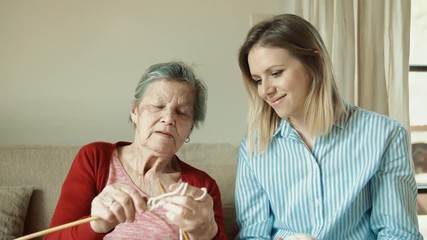 Wall Mural - Elderly grandmother and adult granddaughter at home, knitting.