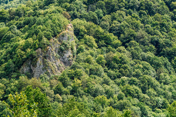 Sticker - Beautiful Carpathian Mountains Summer Landscape In Romania