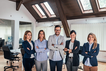 Wall Mural - Portrait of a successful business team.