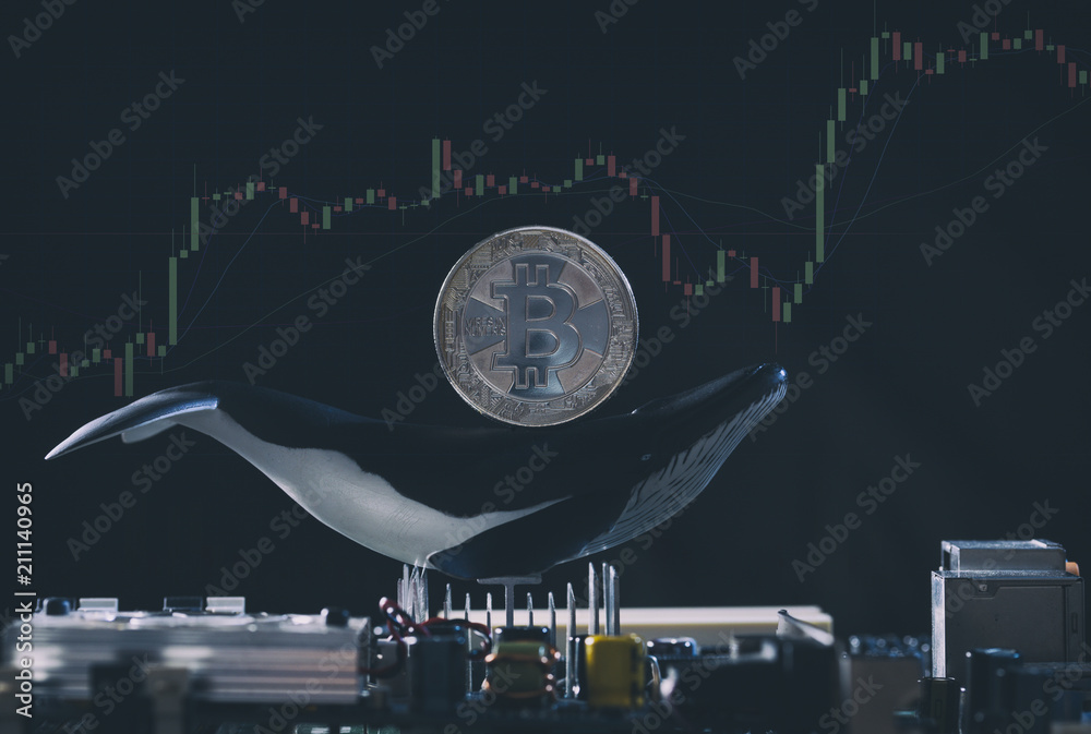 Concetptual image of Bitcoin whale holder with silver bitcoin on the back of whale figure with soaring stock trading graphs in background