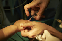 Anesthesiologist Accessing A Patient Venous Line