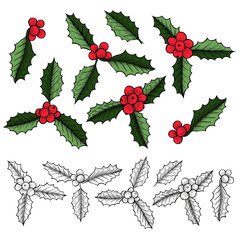 Canvas Print - Set of Christmas mistletoe