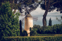 Beautiful Stone Windmill In Summer