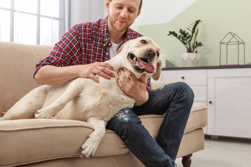 Wall Mural - Adorable yellow labrador retriever with owner on couch indoors