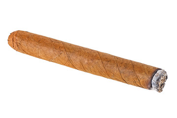 Wall Mural - Brown cigar on white background. Burned cigar.