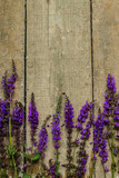 Fototapeta Lawenda - Flowers on vintage wood background