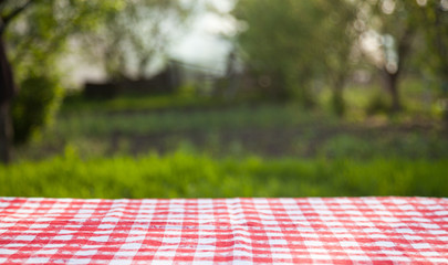 picnic table in the garden - summertime