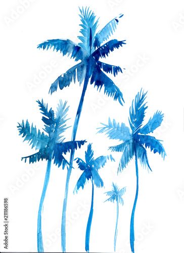Tapeta ścienna na wymiar Niebieskie palmy na białym tle