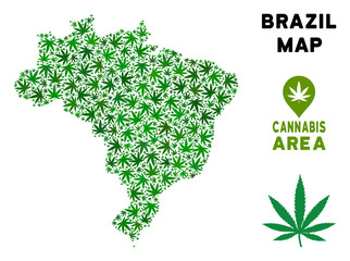 Weed Brazil map composition of marijuana leaves. Narcotic addiction concept. Vector Brazil map is made of green weed leaves. Abstract territory plan in green color shades.