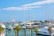 Summer view of pier with ships, yachts and other boats with ferris wheel in Rimini, Italy