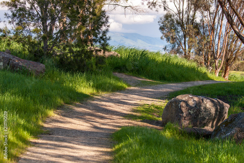 Dirt Path Through Dappled Light On Green Shaded Hills Buy This Stock Photo And Explore Similar Images At Adobe Stock Adobe Stock Dirt Path Through Dappled Light On Green Shaded Hills Buy This Stock Photo And Explore Similar Images At Adobe Stock Adobe Stock