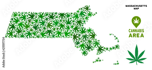 Cuadros en Lienzo Cannabis Massachusetts State map mosaic of marijuana leaves