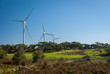 Wind turbines on the coast of Victoria Australia