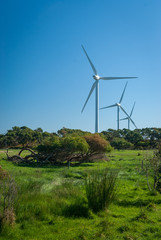 Three wind turbines, rural Australia