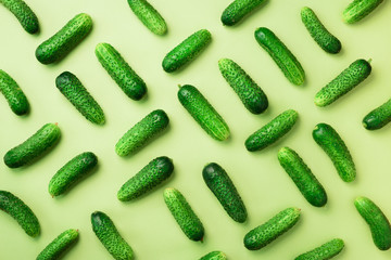 Wall Mural - creative pattern of fresh cucumbers on green background. top view. copy space. minimal design. veget