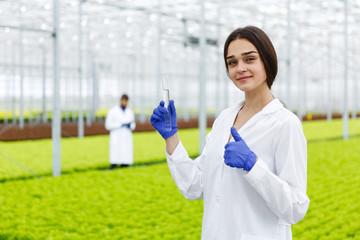 Wall Mural - Female researcher holds a glass tube with a sample standing before plants in the greenhouse