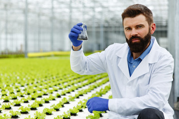 Wall Mural - Man takes a probe of greenery in an Erlenmeyer flask standing in the greenhouse