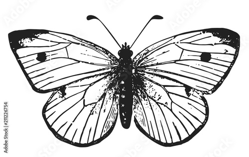 Naklejka - mata magnetyczna na lodówkę Czarny piękny motyl