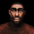 Digital 3D Illustration of a Homo Erectus