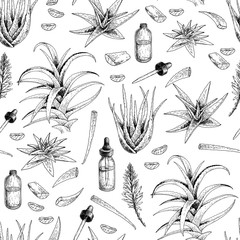 Wall Mural - Seamless vector pattern of aloe vera branch and leaves. Hand drawn. Engraved medical, cosmetic plant. Moisturizing serum, healthcare. Good for cosmetics, medicine, treating, package design, skincare.