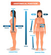 Anatomical positions vector illustration. Scheme of superior, inferior and proximal, distal locations, as well as medial, lateral and anterior, posterior sides