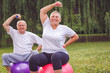 © Lucky Fenix - Senior woman lifting dumbbells while sitting on fitness ball in park.