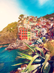 Wall Mural - incredible landscape in riomaggiore with leaves of agave in cinque terre, liguria, italy, europe in 