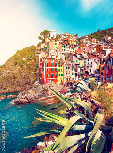 Incredible landscape in Riomaggiore with leaves of agave in Cinque Terre, Lig...