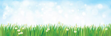 Vector  Nature Background, Blue Sky And Green Grass.
