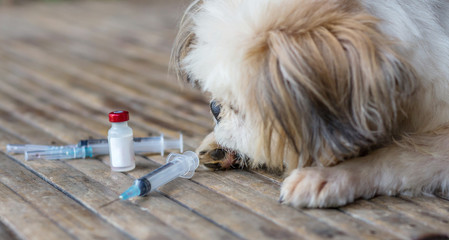 Rabies vaccines Dog got a vaccination against the rabies, hydrophobia was readily available.