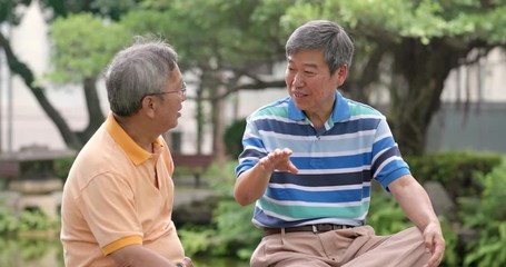 Wall Mural - Senior friends chatting together at outdoor park