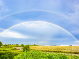 Wall Mural - real natural double rainbow  