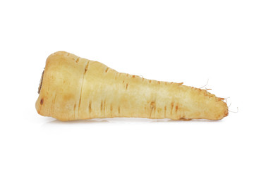 Canvas Print - single parsnip root vegetable isolated on white background