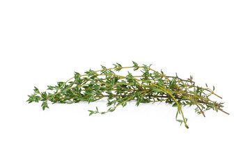 Wall Mural - fresh green thyme isolated on white background