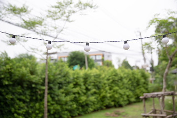 string wired Light bulbs on garden background.