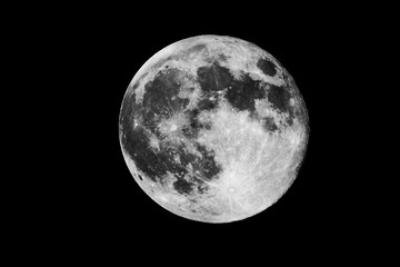 Wall Mural - full moon / the full moon is the lunar phase when the moon appears fully illuminated from earth's pe